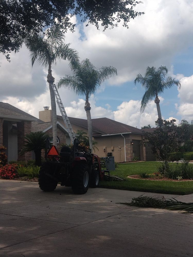 All Photos for Bills Tree Service in Valrico, FL