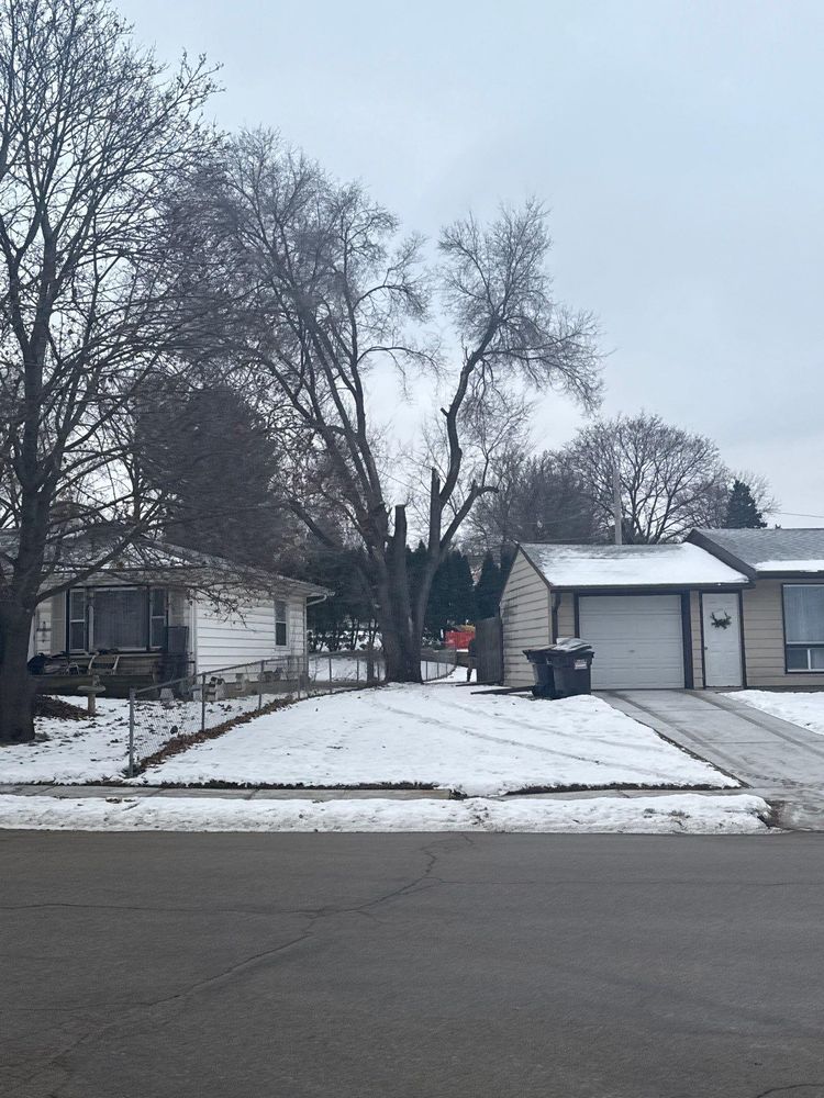 All Photos for Fransen's Tree Service  in Freeport, IL