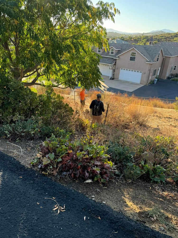 Property Clean Up for The Tree Fairy in Temecula, CA