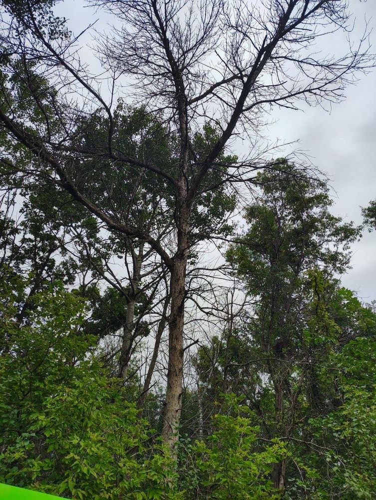 All Photos for Big River lawn Care services and snow LLC in Wausau, WI