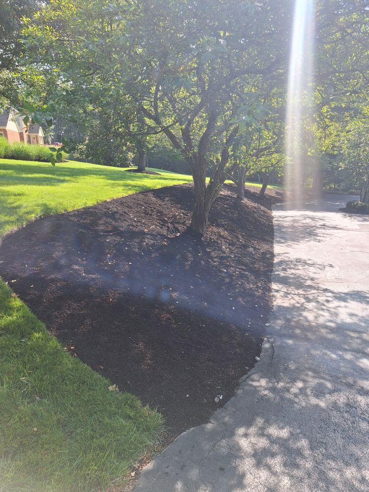 All Photos for Cincinnati’s Finest Landscape Services LLC in Cincinnati, OH