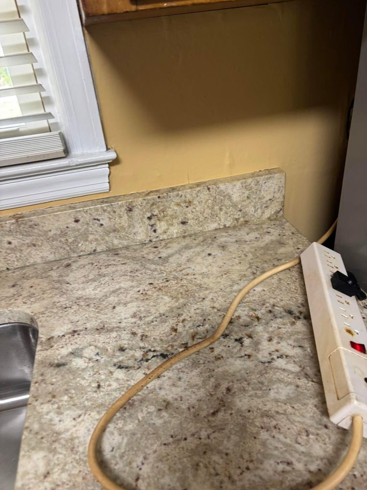Residential Cleaning for Kim's Dust Busters in Lavonia, GA