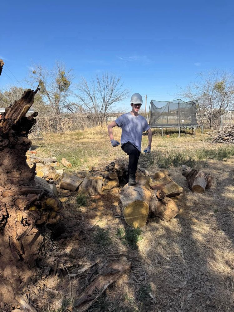 Tree Removal for Lion In The Tree Trimming Service in Big Spring, TX