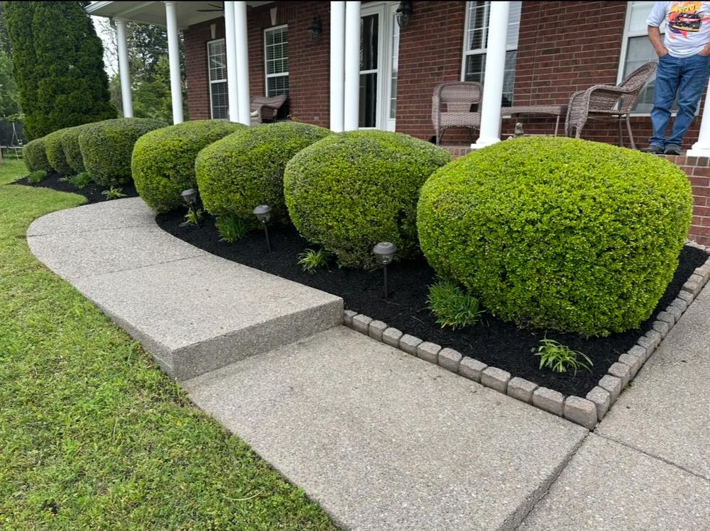 Our Tree & Shrub Care service keeps your landscape healthy, beautiful, and thriving with expert pruning, fertilization, disease prevention, and seasonal maintenance tailored to your property’s unique trees and shrubs. for Top Notch Tennessee Outdoor Services in Murfreesboro, TN