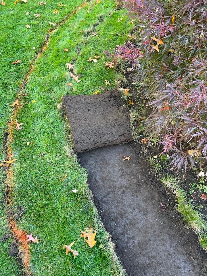 Transform your lawn effortlessly with our professional sod install service. While you're at it, explore our "Christmas lights installation near me" for a festive and perfectly landscaped home this season. for New England Outdoor Living in Salisbury, MA