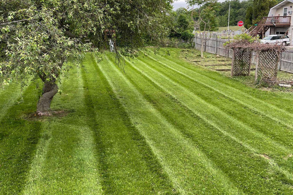 Lawn Care for Dunn-Rite Landscaping in New Oxford, PA