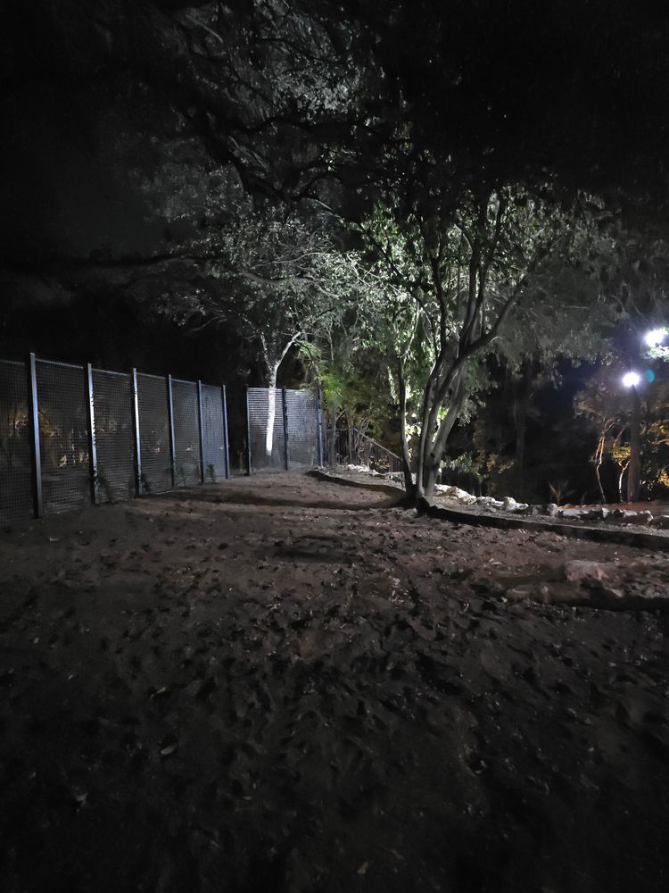 All Photos for Green Pastures Lawn Care in Bastrop, TX