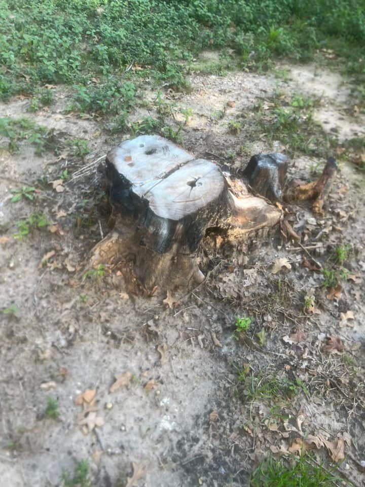 Landscaping for JDR Texas Landscaping Pros in Seagoville, TX