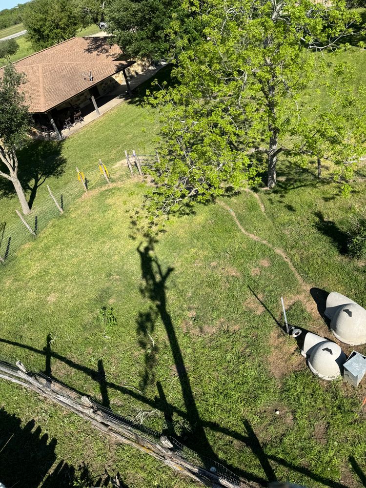 Tree climbing  for Z’s Trees LLC in Grey Forest, TX