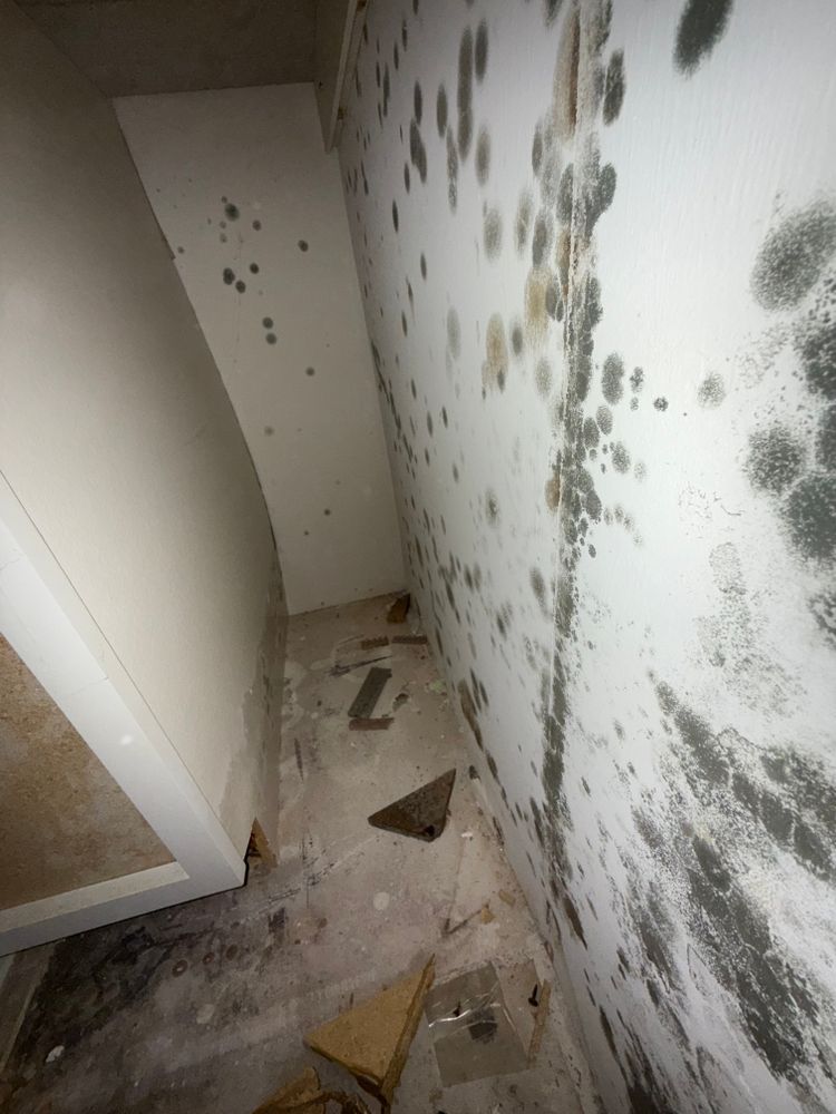All Photos for N&D Restoration Services When Disaster Attacks, We Come In in Cape Coral,  FL