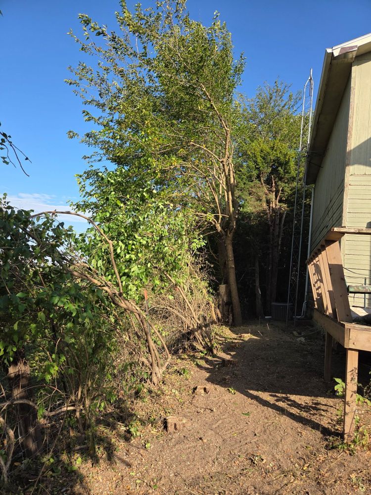 All Photos for Lawn Ranger Yard And Tree Service LLC in Ottumwa, IA