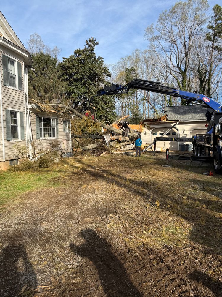All Photos for Rawls Tree Care in Richmond, VA