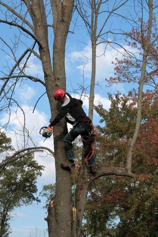 Fall and Spring Clean Up for GM Landscaping  Construction LLC in Philadelphia, Pennsylvania