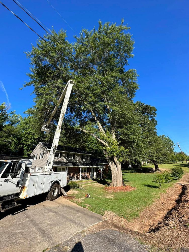 Our professional Tree Removal service safely and efficiently eliminates unwanted trees from your property, enhancing safety, aesthetics, and overall landscape health. Contact us today for a free consultation. for Moore’s Tree Service in Chesnee, SC