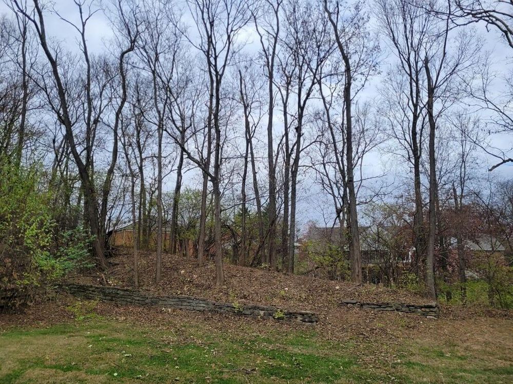 All Photos for Kingdom Tree Trimming and Removal LLC in Covington, KY