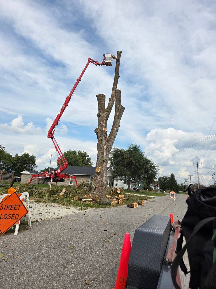 All Photos for Lawn Ranger Yard And Tree Service LLC in Ottumwa, IA