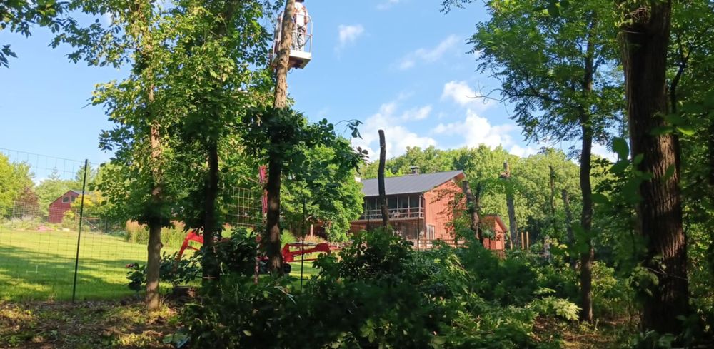 All Photos for Lawn Ranger Yard And Tree Service LLC in Ottumwa, IA