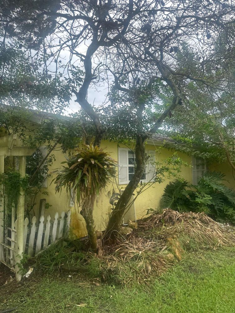 All Photos for Kramer & Son’s Property Maintenance in Hudson, FL