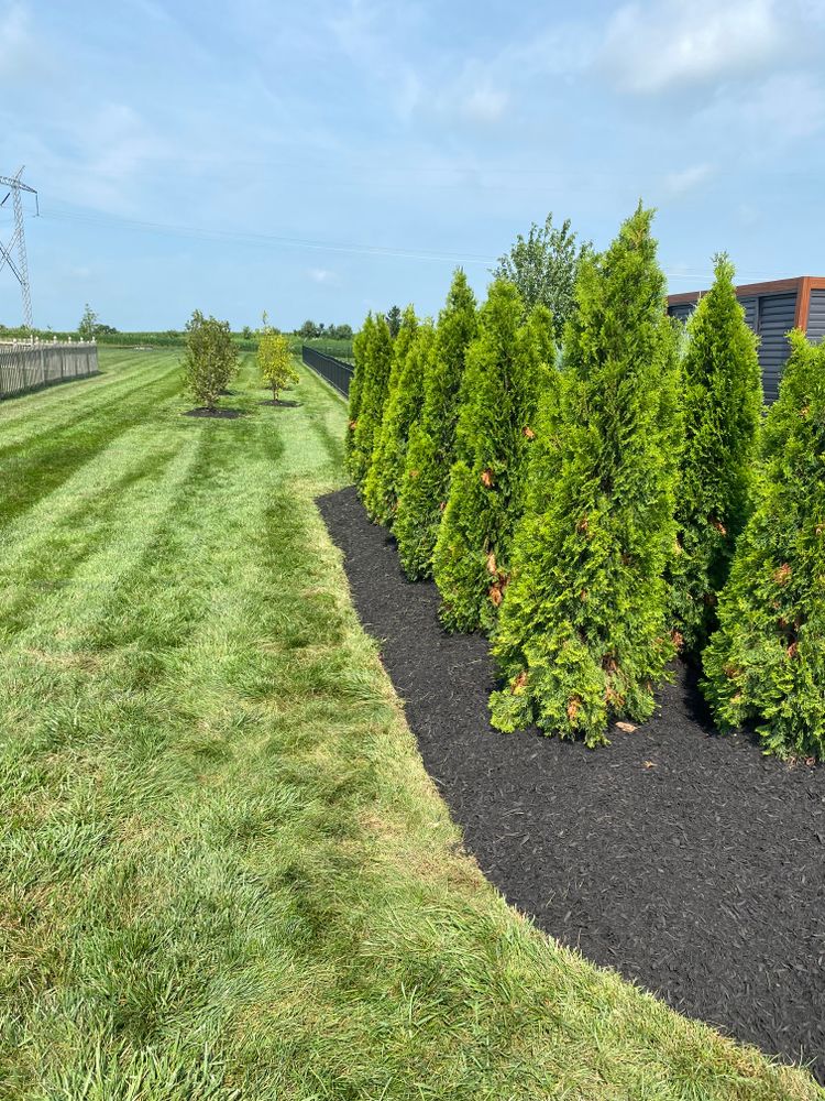 All Photos for Stafford.Works in Brownsburg, IN