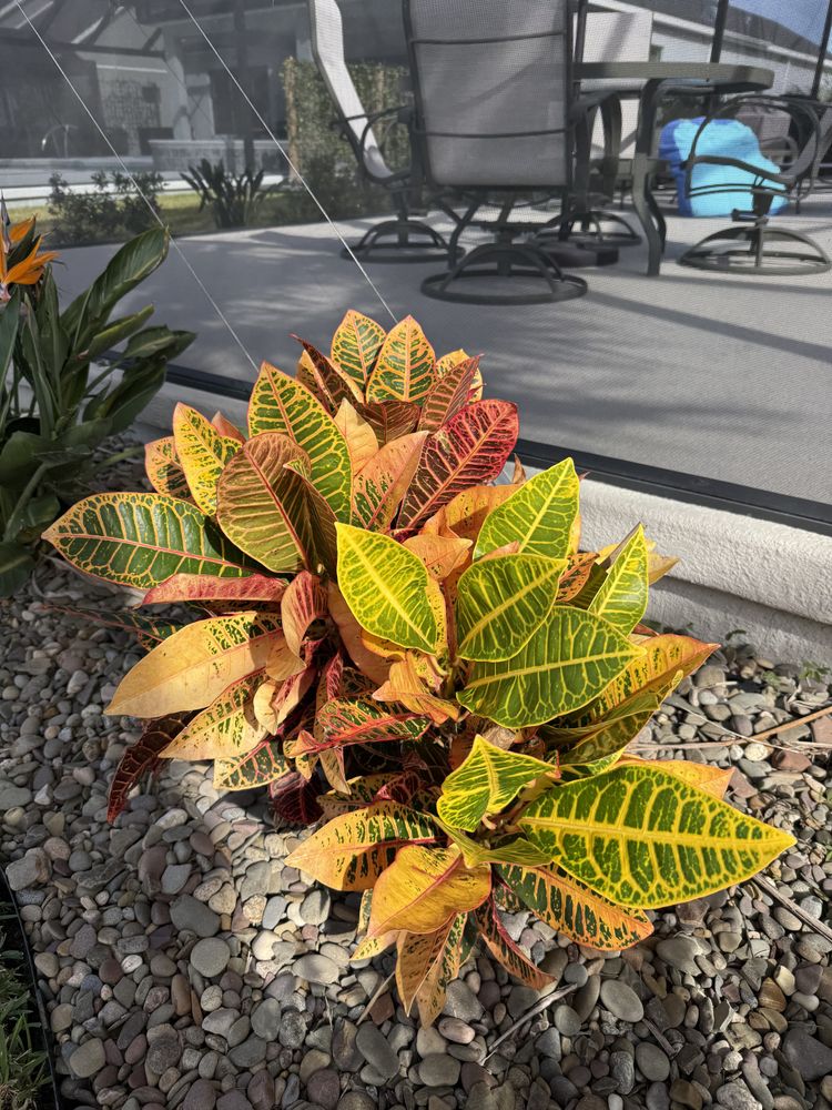 All Photos for Top Quality Hardscapes in Wildwood, FL