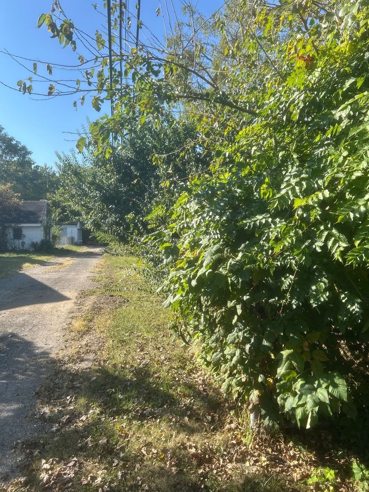 Fall Clean Up/ Leaf Removal for High Garden Landscapes in Dayton, OH