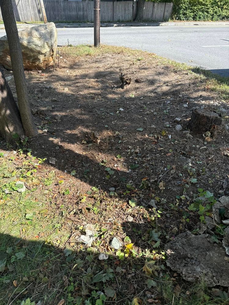 Landscaping for DB Landscape Construction in Scituate, MA