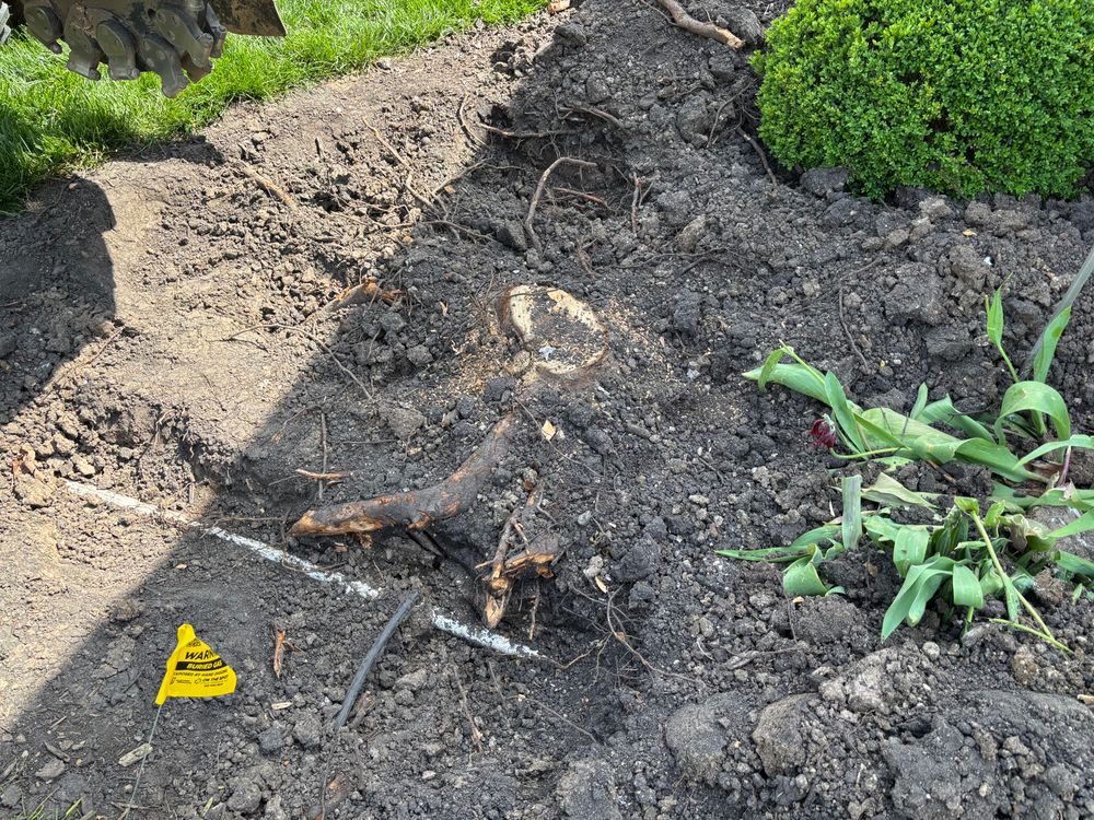 All Photos for Conrad's Stump Removal in Columbus, IN