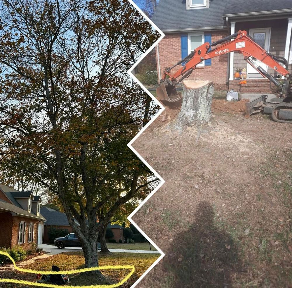 Tree Removal for McBee’s Tree Service in Sewanee, TN