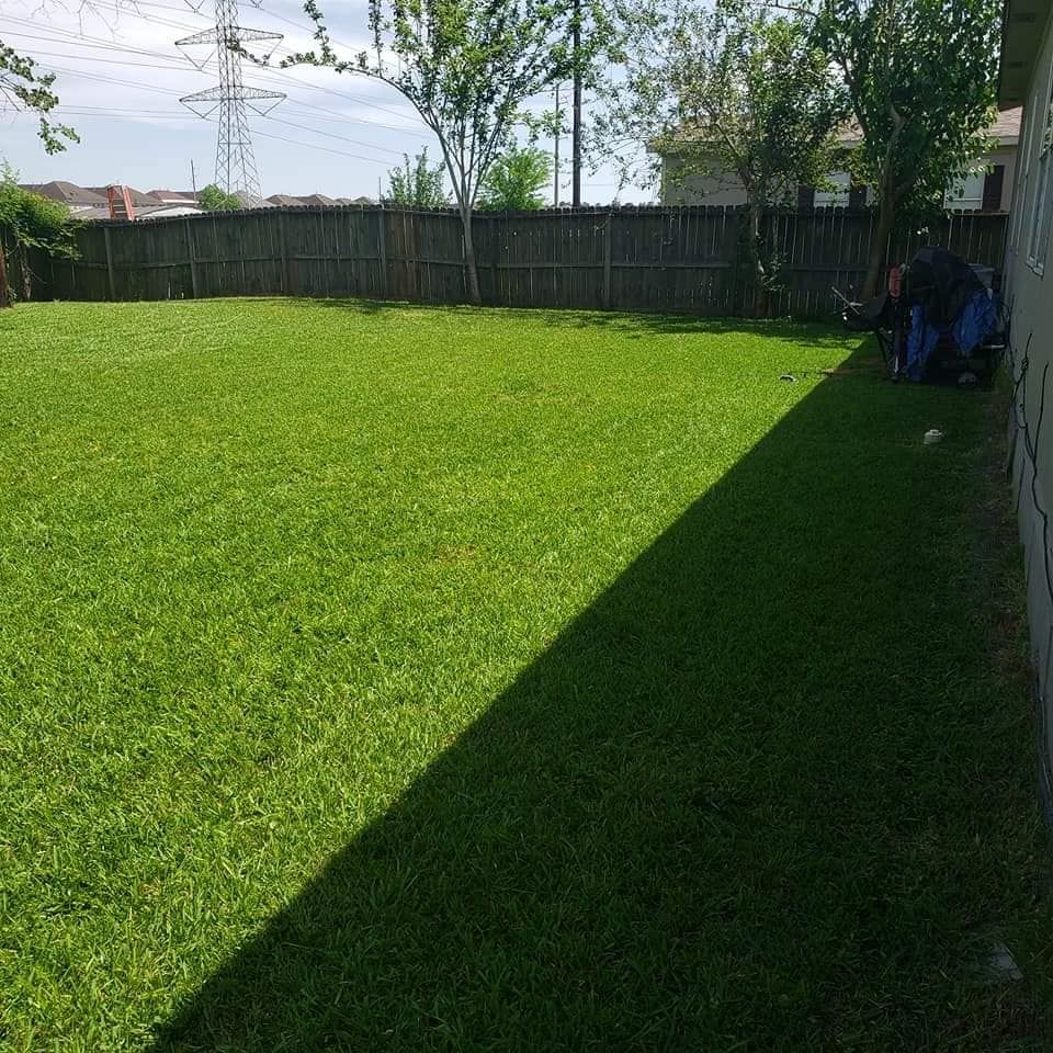 Lawn Care for T.W. Lawn Care in Pearland, TX