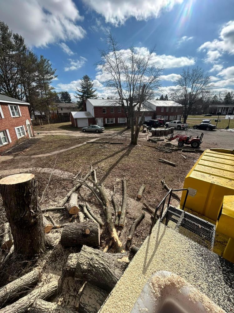 All Photos for SMITHs Tree Service in Columbus, IN
