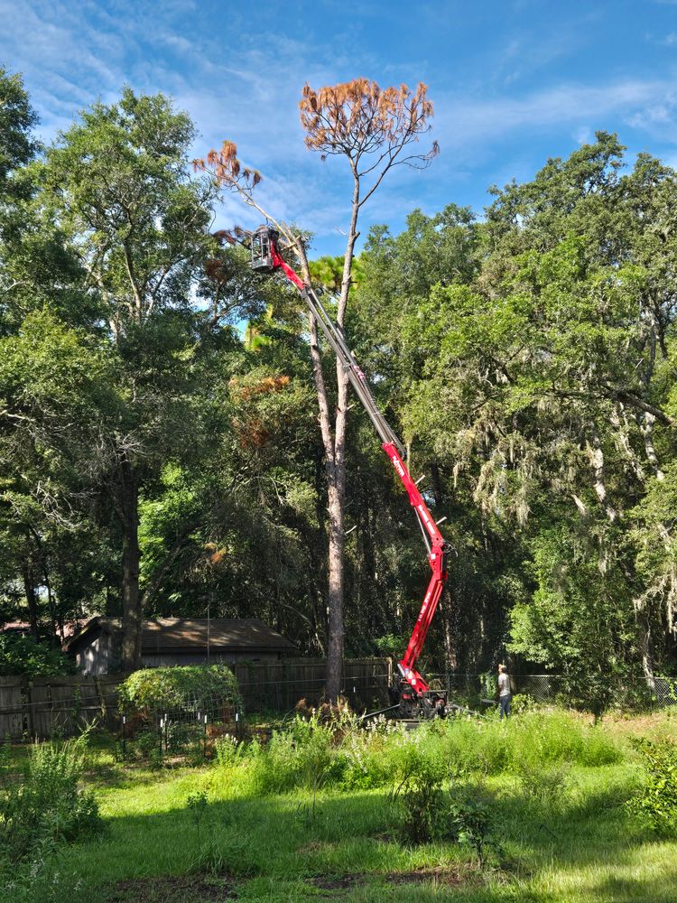 All Photos for Near Me Tree Service, Inc. in DeLand, FL
