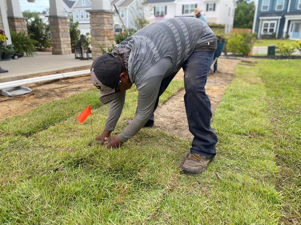 Landscaping for Djosey Landscapes in Wilmington, NC