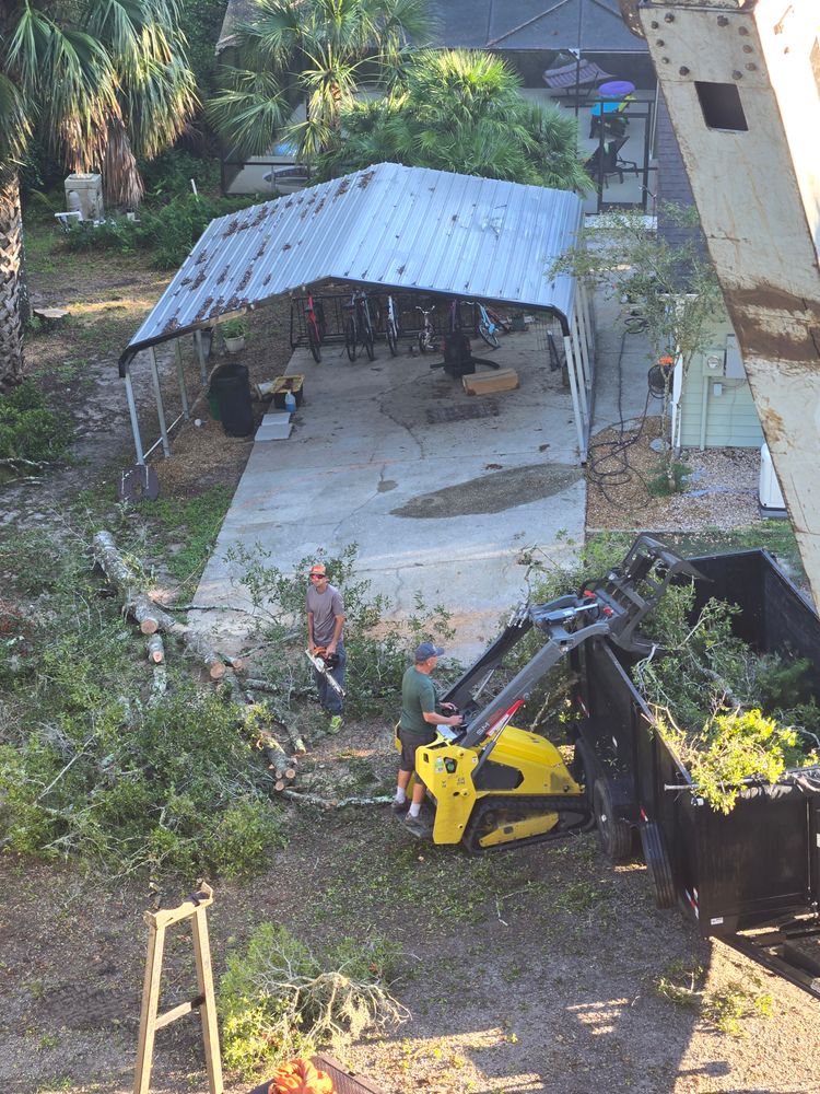 All Photos for Near Me Tree Service, Inc. in DeLand, FL