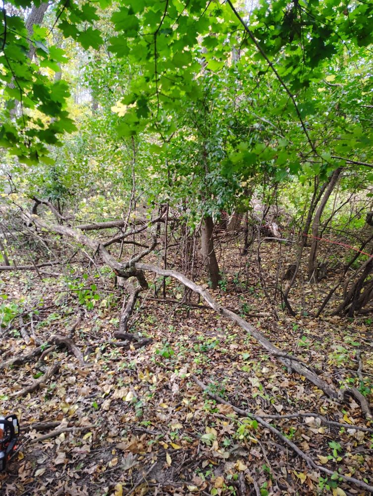 All Photos for Big River lawn Care services and snow LLC in Wausau, WI