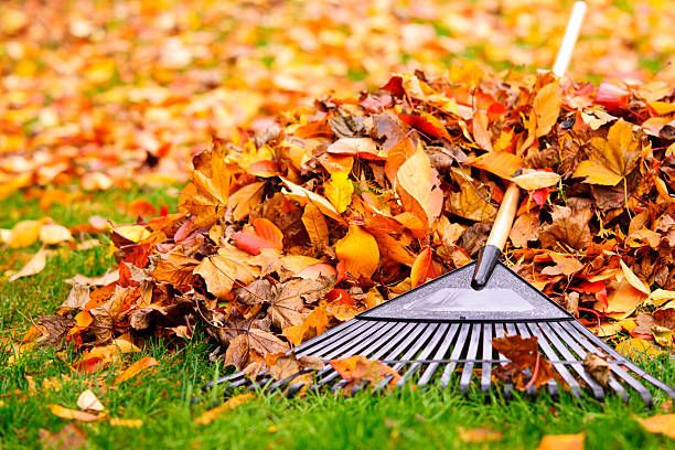 Our Fall Cleanup service includes leaf removal, garden bed clearing, and pruning to prepare your yard for winter. Ensure a tidy landscape with our professional fall clean up assistance. for Synhorst Property Maintenance & Landscaping in Connecticut, CT