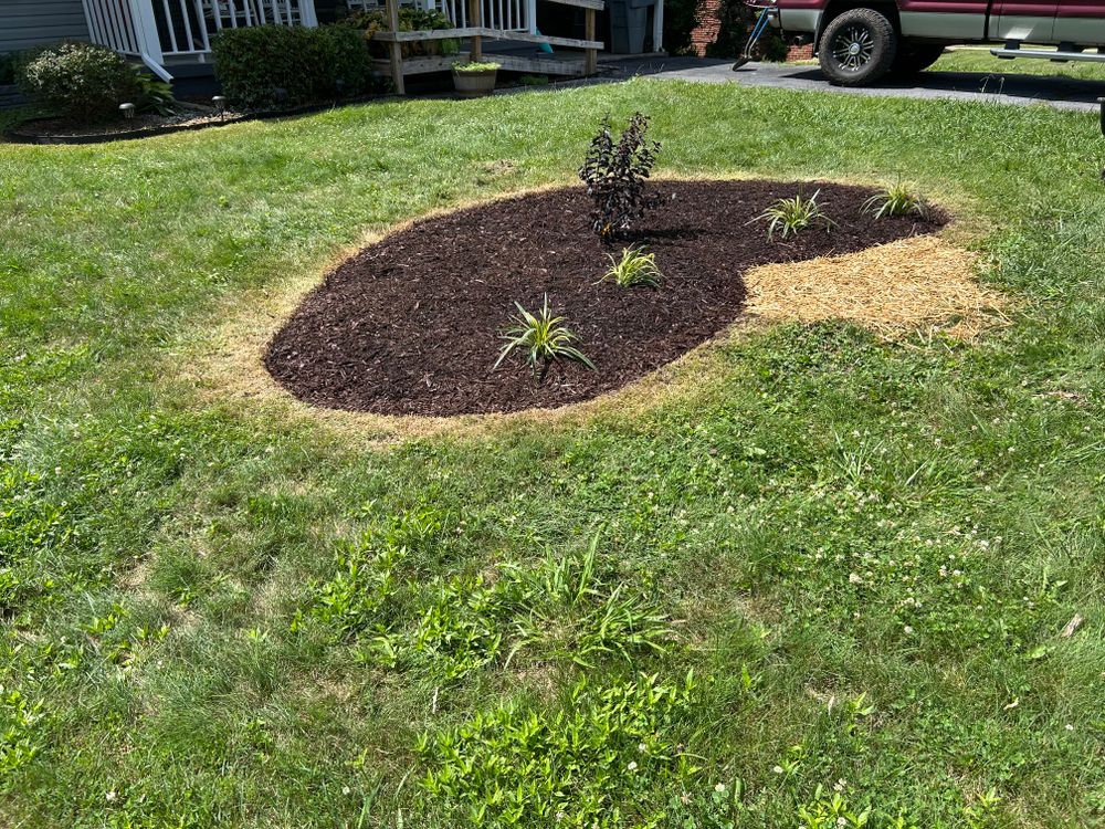 All Photos for Gatrell Landscape & Tree Removal in Bluff City, TN