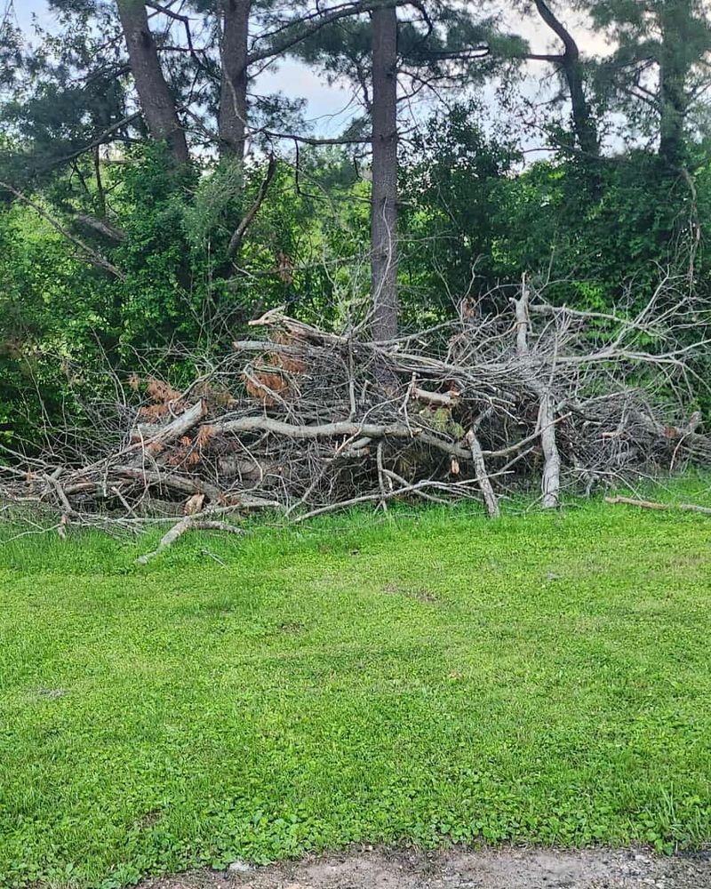 All Photos for Houtz Tree Service in Lexington, KY