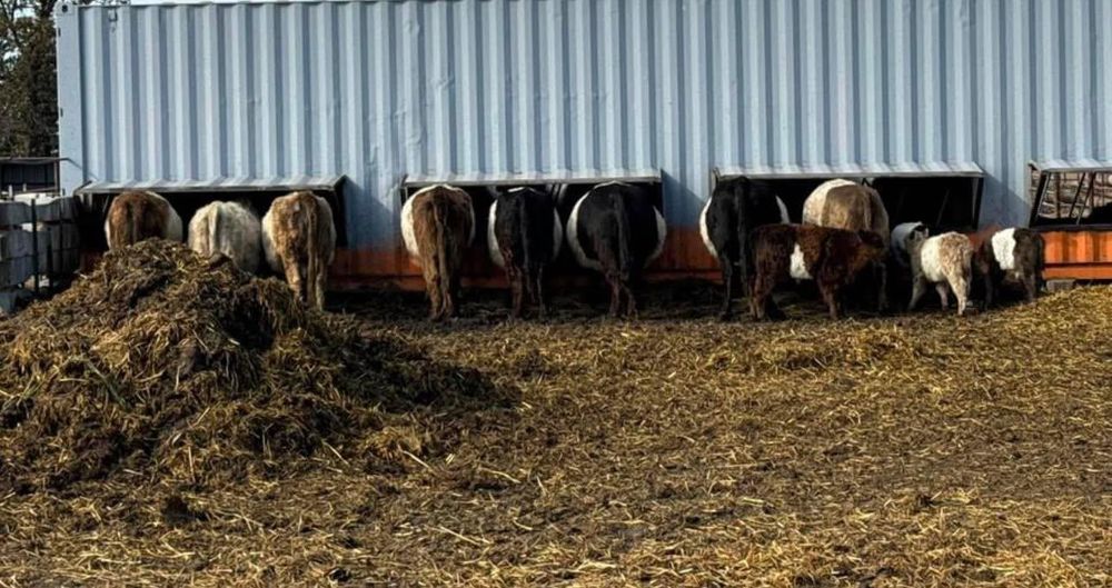 All Photos for HDE Services LLC in Grand Island, NE