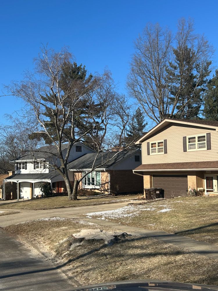 All Photos for Fransen's Tree Service  in Freeport, IL