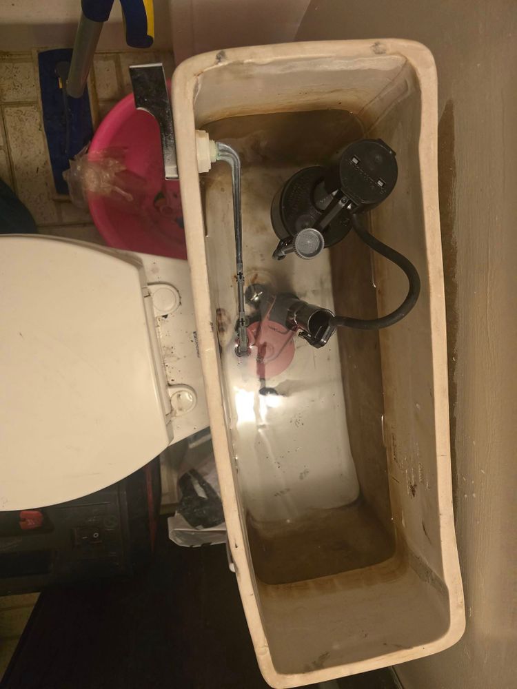 All Photos for Donovan & Sons in Fredericksburg, VA