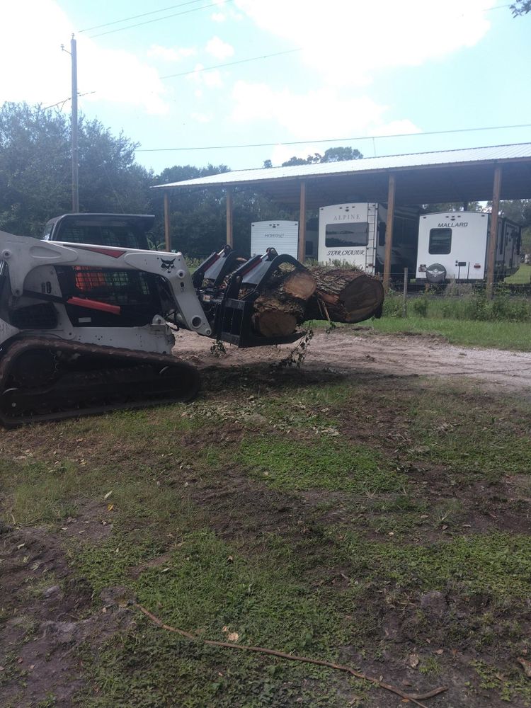 All Photos for Bills Tree Service in Valrico, FL