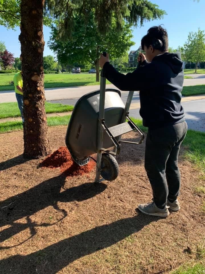 F & A Carpentry team in Northlake, IL - people or person