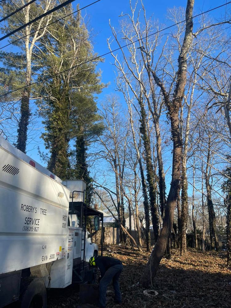 Enhance your home's safety and aesthetics with our professional tree trimming service. We expertly prune and shape trees, promoting healthy growth while improving curb appeal for beautifully maintained outdoor spaces. for Robery's Tree Service in West Wareham, MA