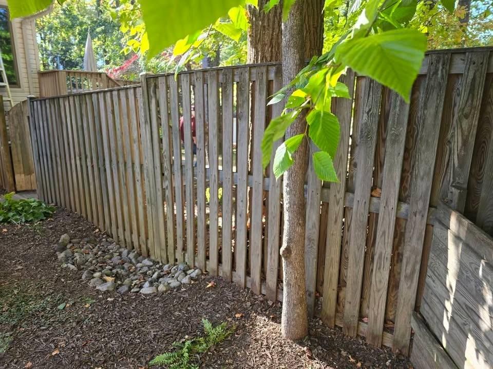 All Photos for W D Giampa Lawns and Landscape Inc. in Independent Hill, VA