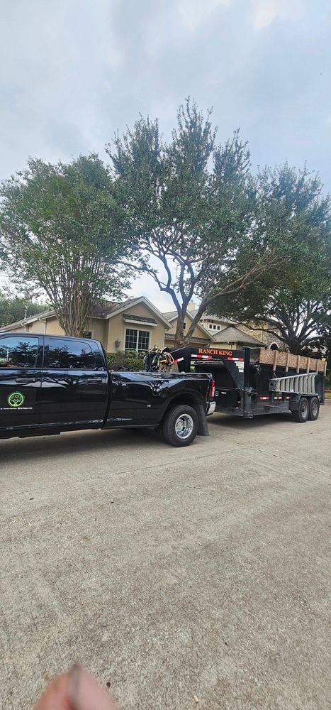 All Photos for Servin's Tree Care  in Houston, TX