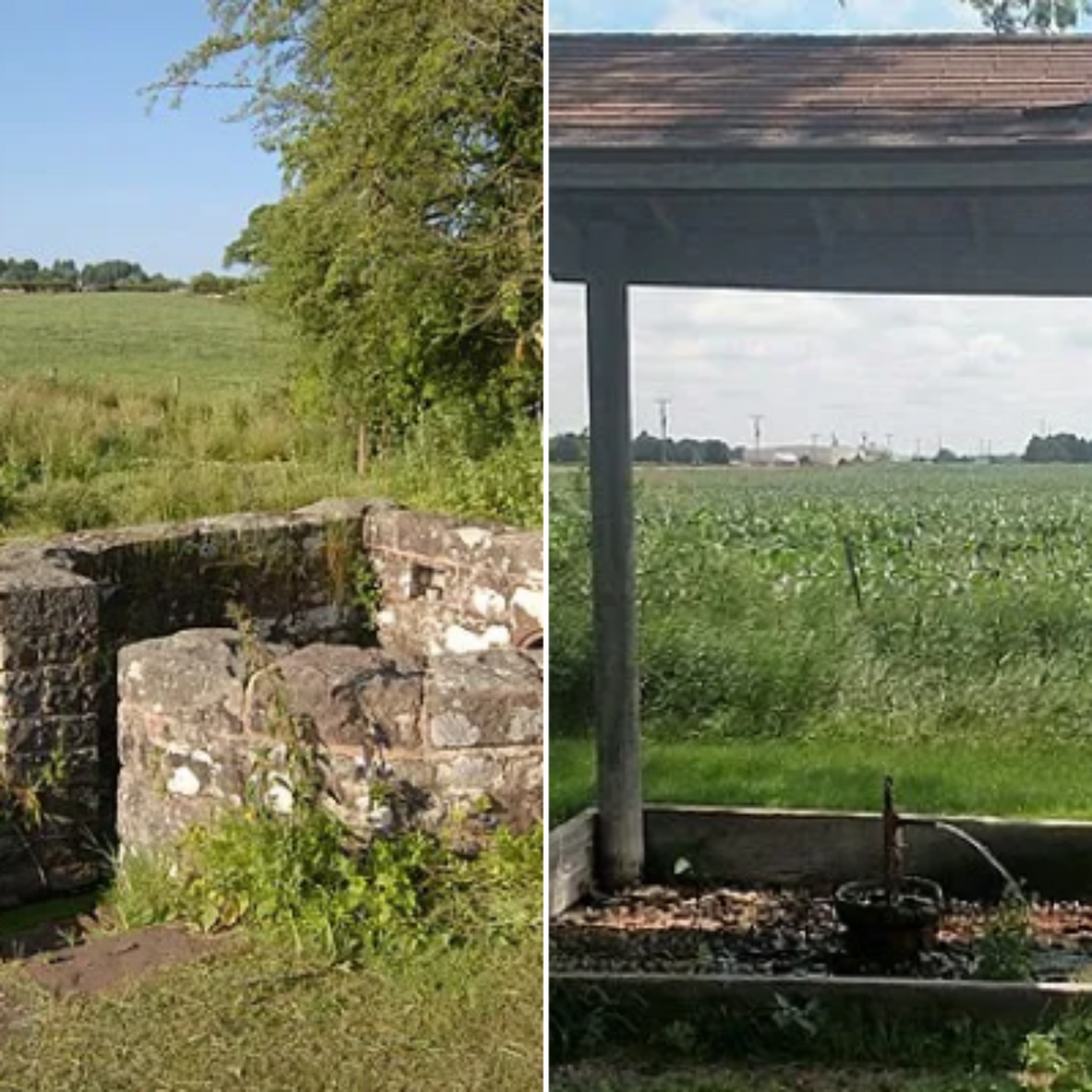 Enhance your landscape's vitality with our Well Conditioning service, which optimizes water flow and quality, ensuring lush greenery and a thriving garden environment for your home. Transform outdoor spaces effortlessly. for Will's Wells in Cambridge, MA