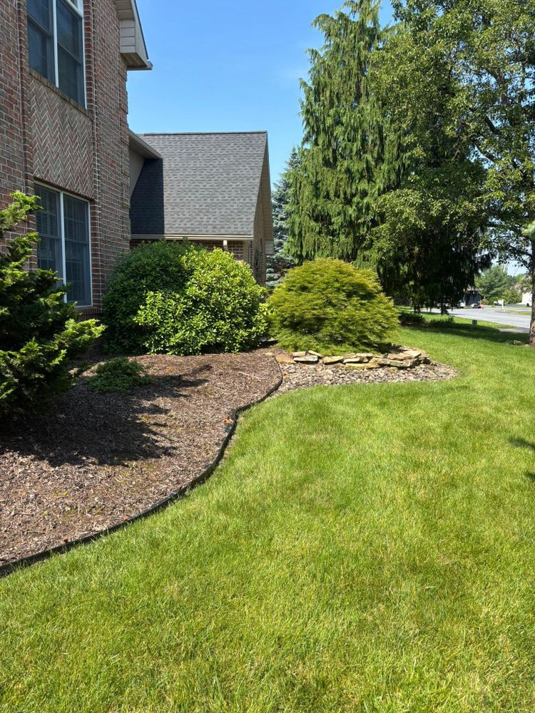 All Photos for Rigante LandWorx in Nazareth, PA