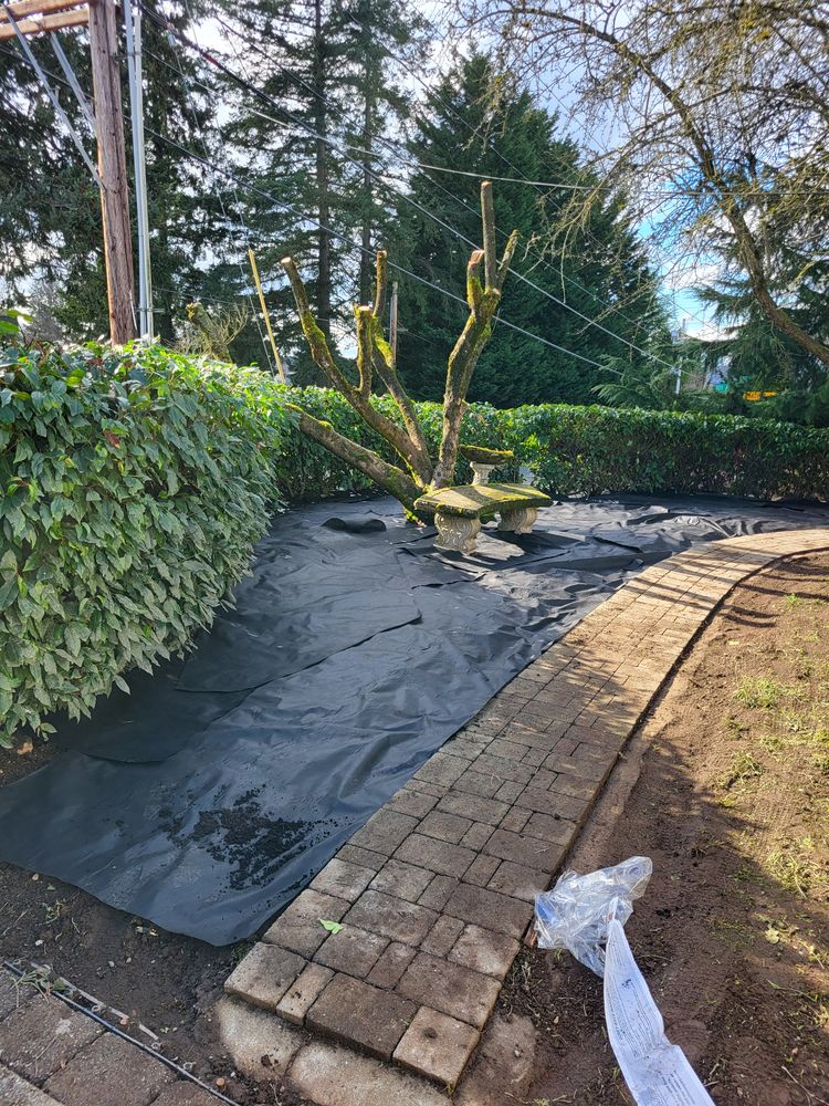 All Photos for Miguel Construction in Tacoma, WA