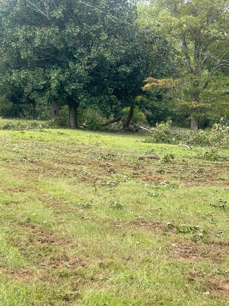 All Photos for 1UP Services LLC in Starr, SC