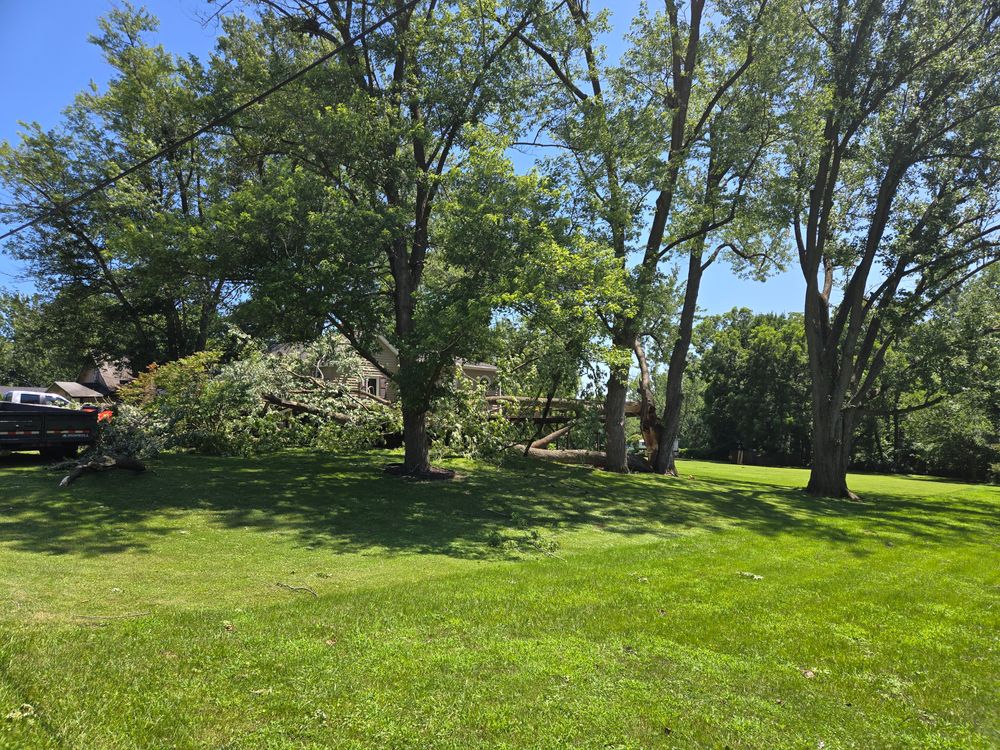 All Photos for Lawn Ranger Yard And Tree Service LLC in Ottumwa, IA